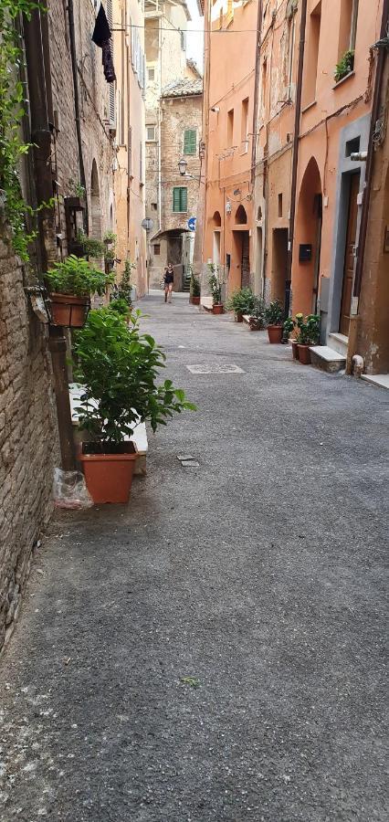 B&B Serena Perugia Ngoại thất bức ảnh