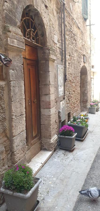 B&B Serena Perugia Ngoại thất bức ảnh